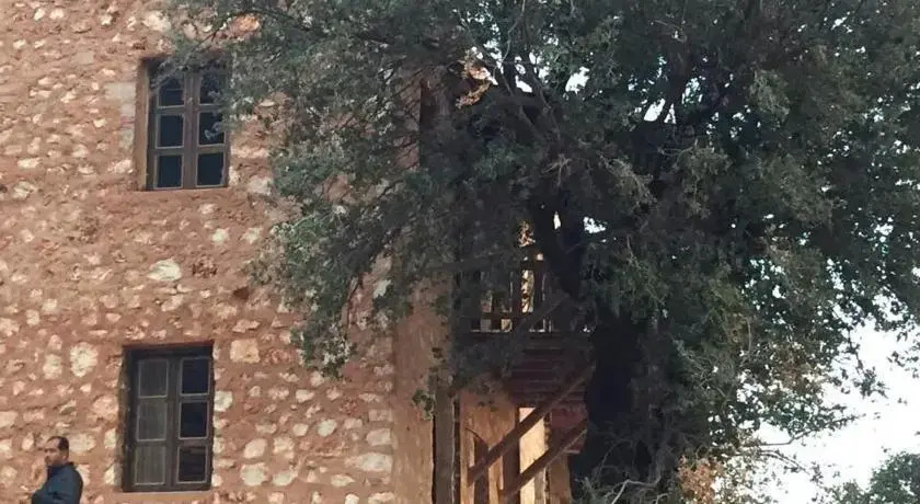 Каш: Apollonia Lodge