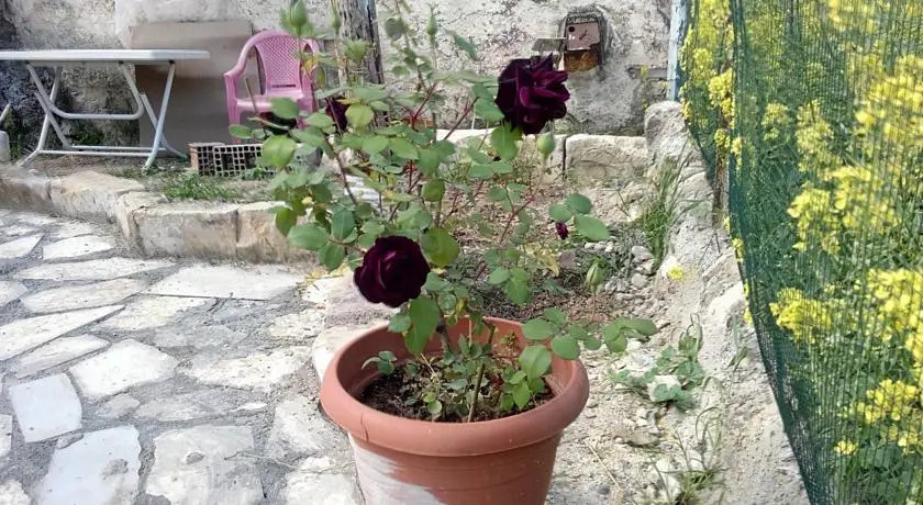 Халфети: Homestay Halfeti Fırat Pansiyon
