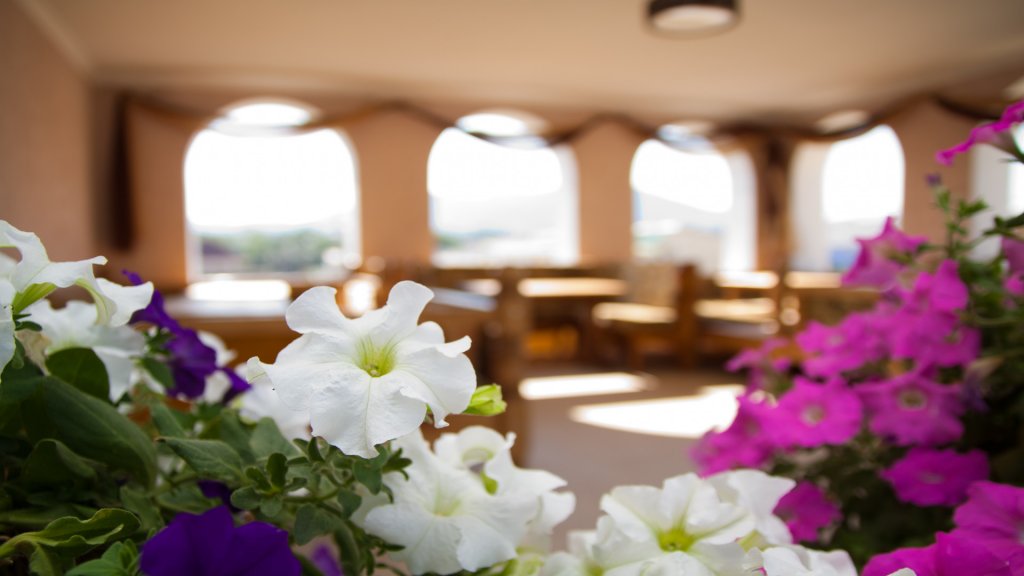 Судак: Privat Hotel