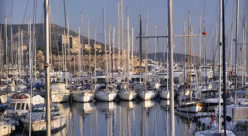Бодрум: Pupa Yachting