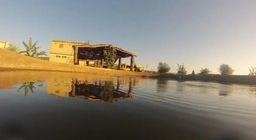 Аль-Бавити: Desert Fox Club Camp
