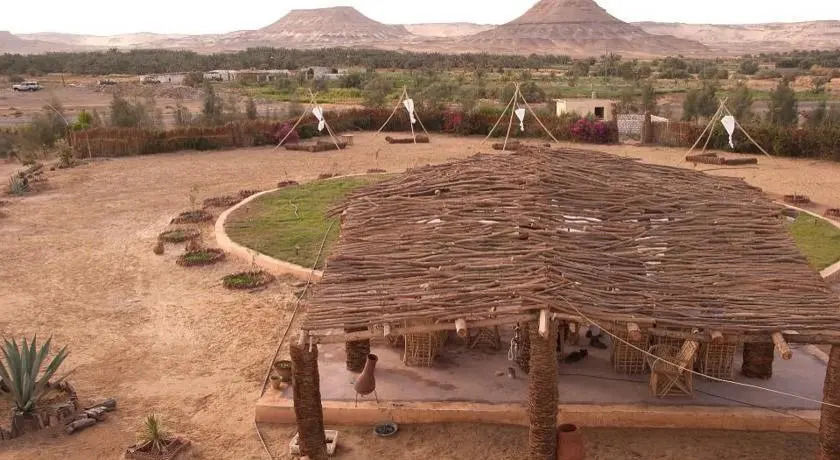 Аль-Бавити: Desert Fox Club Camp