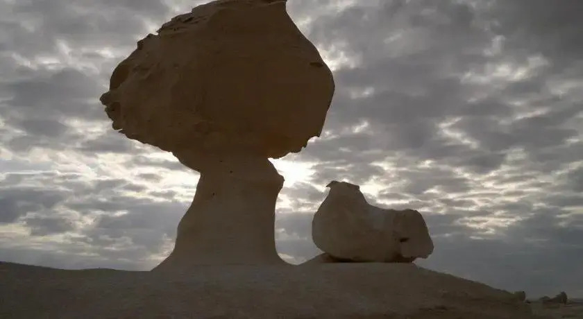 Аль-Бавити: Desert Fox Club Camp