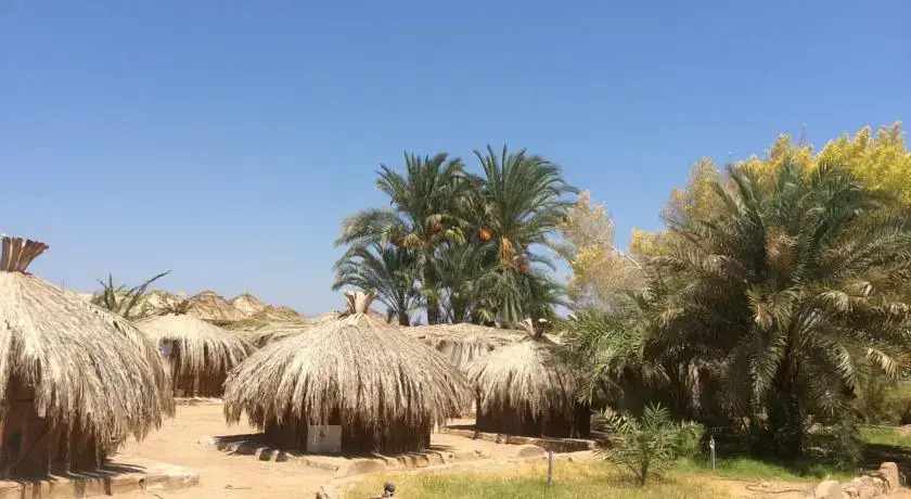 Нувейба: Sababa Camp