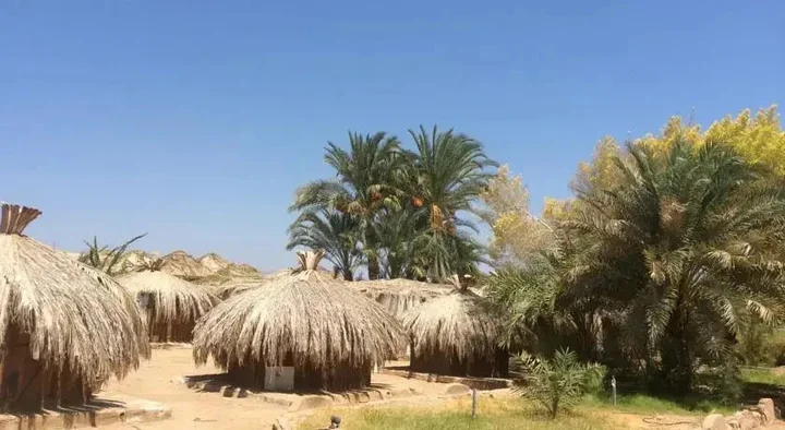 Нувейба: Sababa Camp