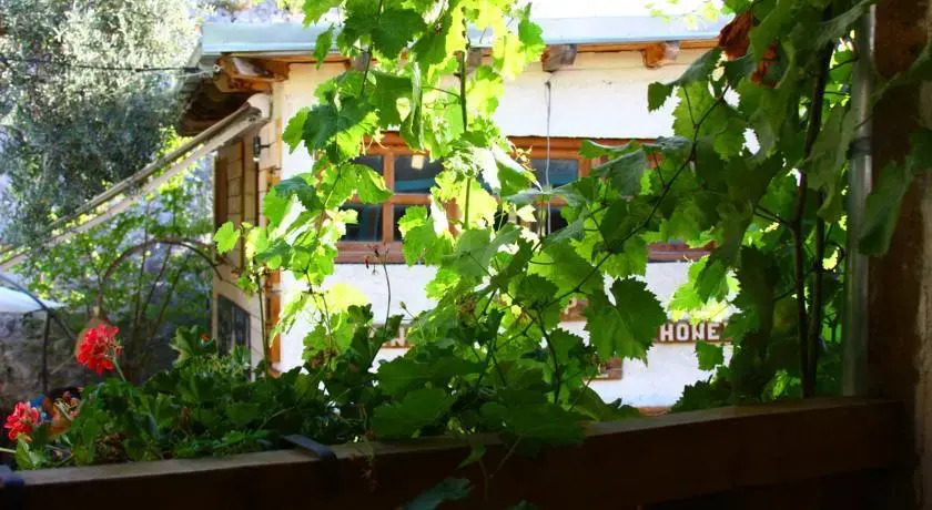 Бар: Guesthouse Gavodolla