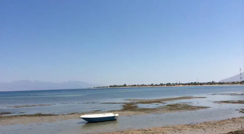 Нувейба: Saraya Beach
