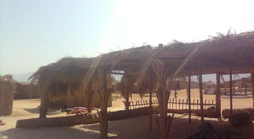 Нувейба: Small Dune Camp