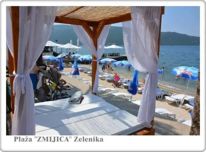 Зеленика: Apartment Jelaca