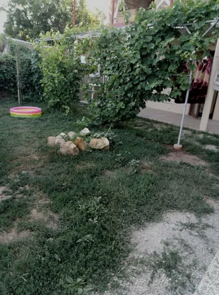 Штормовое: Semejnyij Uyut Guest House