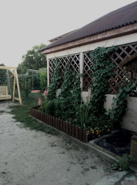 Штормовое: Semejnyij Uyut Guest House