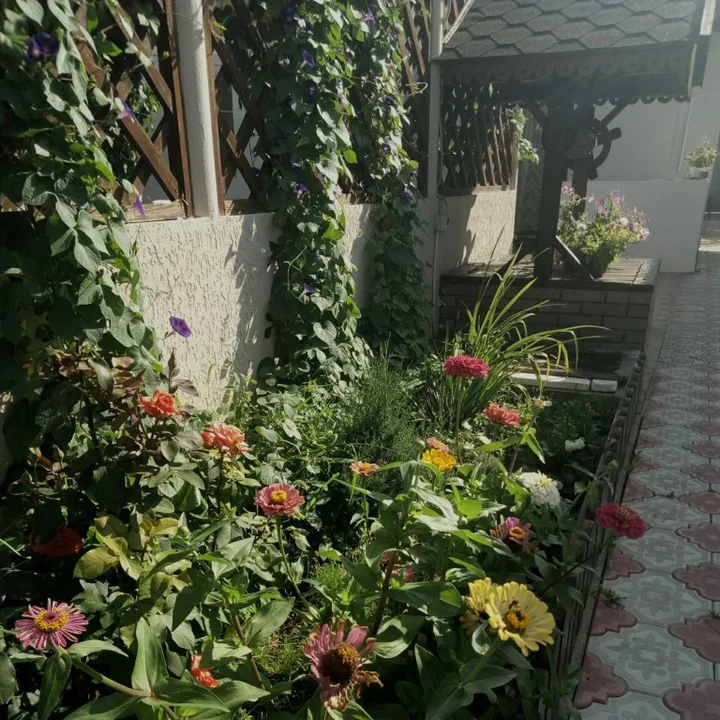 Штормовое: Semejnyij Uyut Guest House