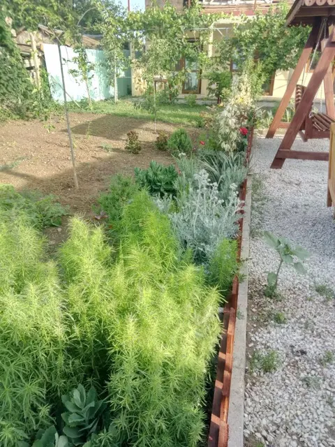 Штормовое: Semejnyij Uyut Guest House