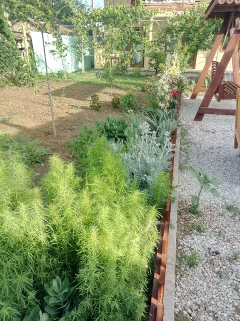 Штормовое: Semejnyij Uyut Guest House