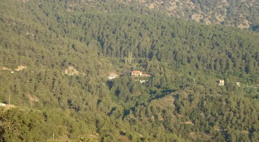 Какопетрия: Zorpides House