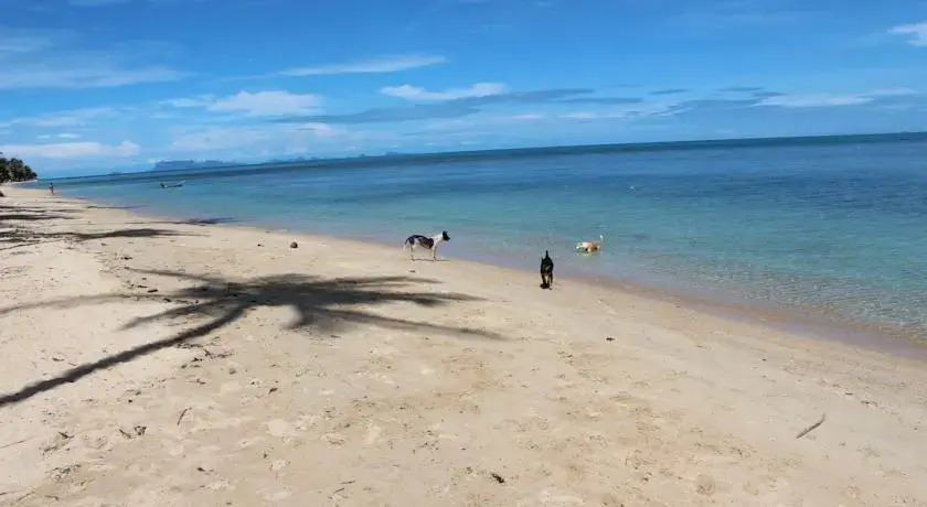 Самуи: Bungalow Samui Ocean View