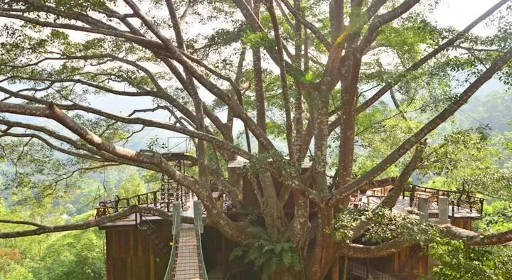 Мае-Он: The Giant Chiangmai