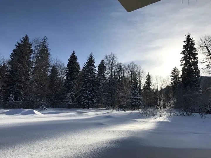 Бакуриани: Bakuriani Resorts