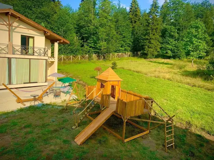 Бакуриани: Bakuriani Resorts