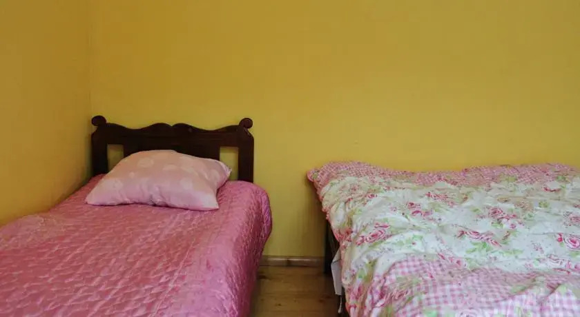 Боржоми: Leos homestay/Guesthouse