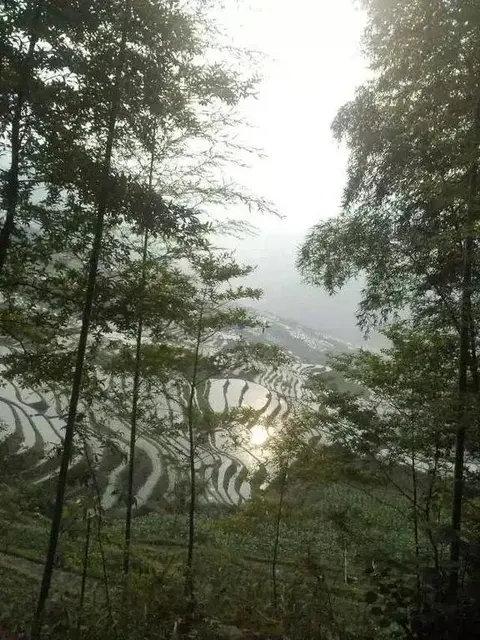 Longsheng: Yuanxiang Yayuan Inn