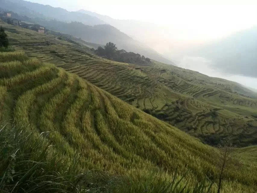 Longsheng: Yuanxiang Yayuan Inn