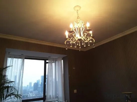 Шанхай: Palm Tree Apartment