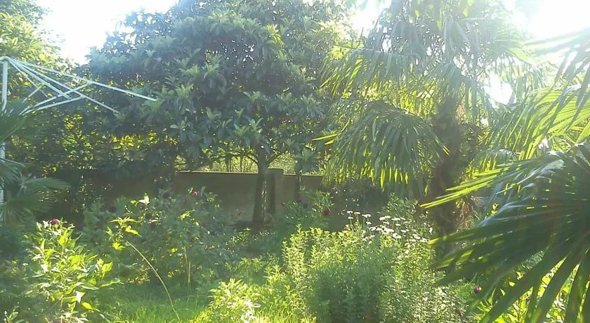 Батуми: Guesthouse Jafara