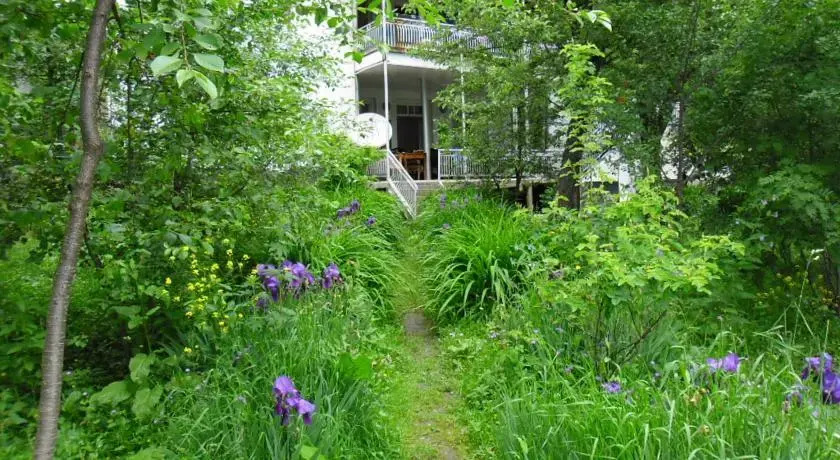 Местиа: Guest House Svaneti