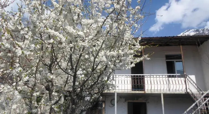 Степанцминда: Nanas Guest House