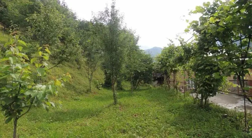 Местиа: Guesthouse Rustaveli Str. 7