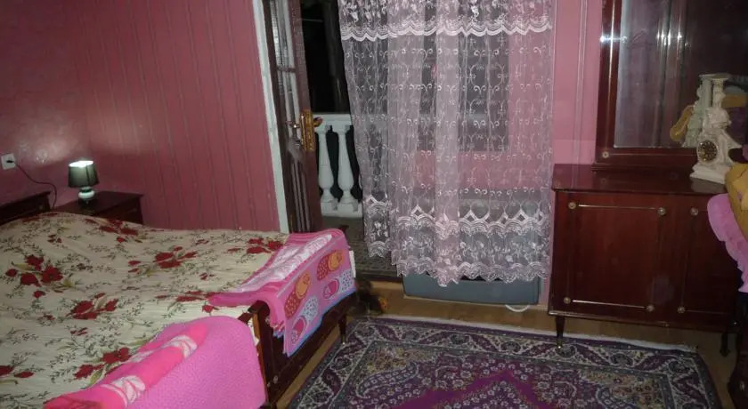 Боржоми: Guest House on Gogias Tsikhe