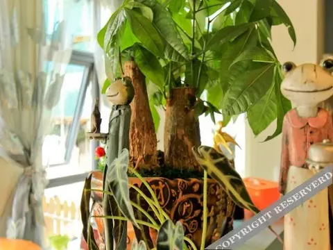 Ханчжоу: GreenWizard Inn