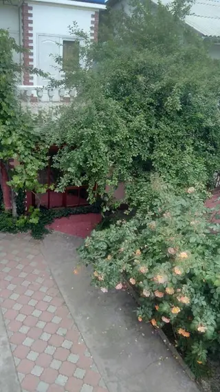Судак: Гостевой Дом Viktoria