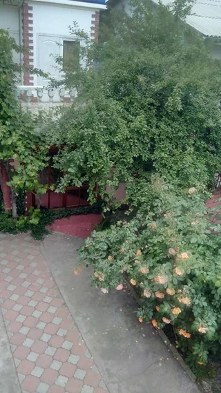 Судак: Гостевой Дом Viktoria