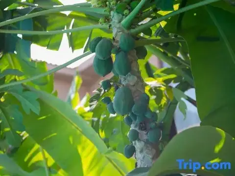 Цзинхун: Xishuangbanna Lanzhu Villa Hotel