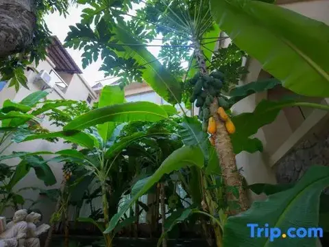 Цзинхун: Xishuangbanna Lanzhu Villa Hotel