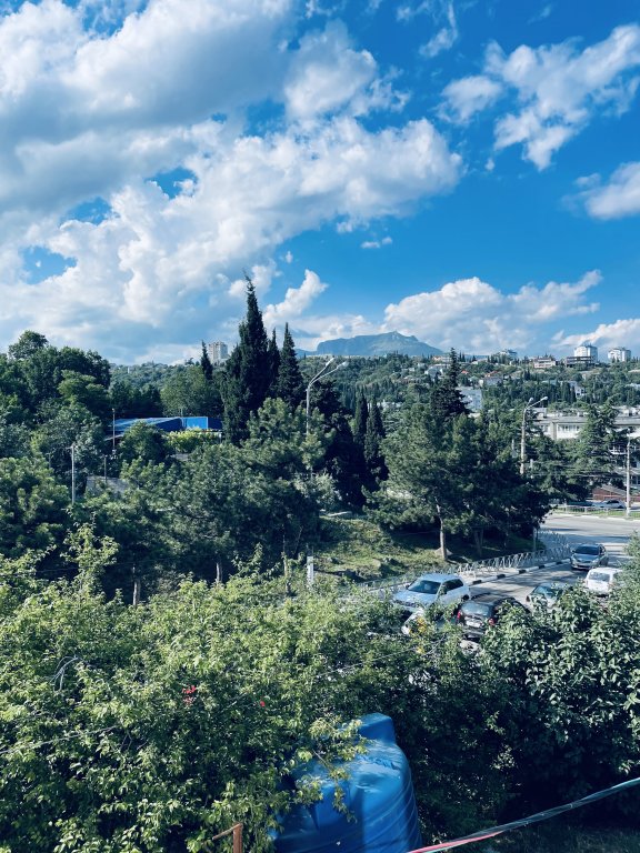 Алушта: Гостевой дом Виноград