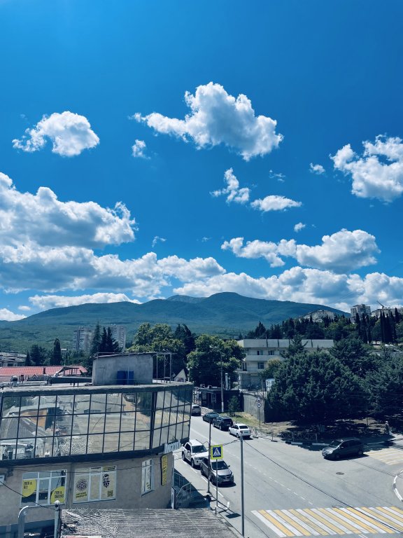 Алушта: Гостевой дом Виноград