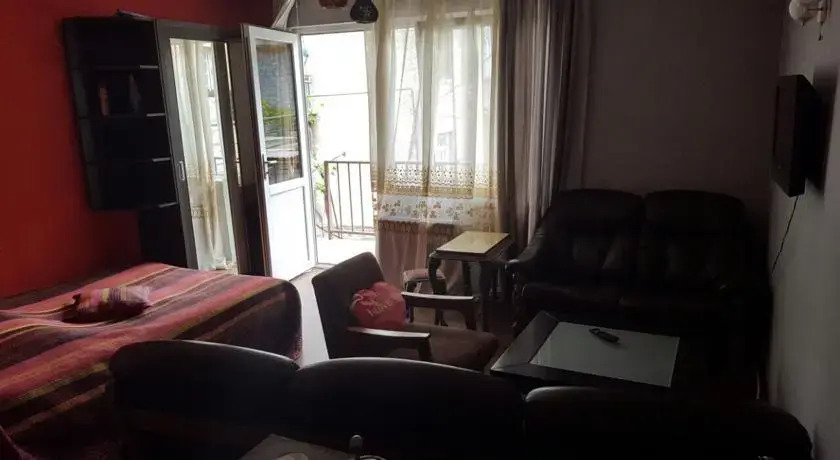 Боржоми: Guest House Eka