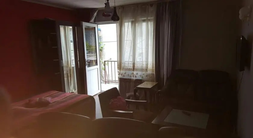 Боржоми: Guest House Eka
