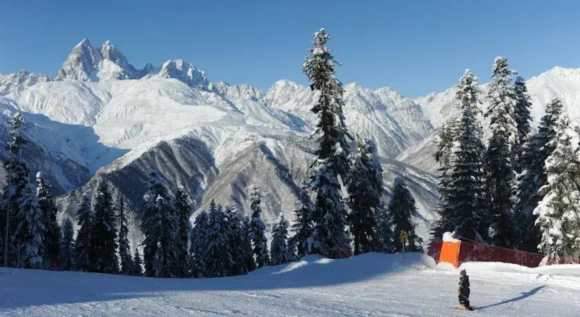 Местиа: Goshteliani Family Guesthouse