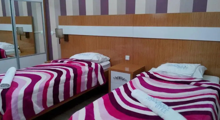 Эргани: Serkan Hotel