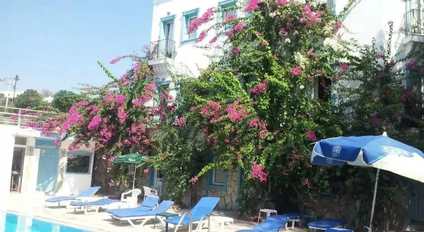 Бодрум: Blue Pearl Hotel