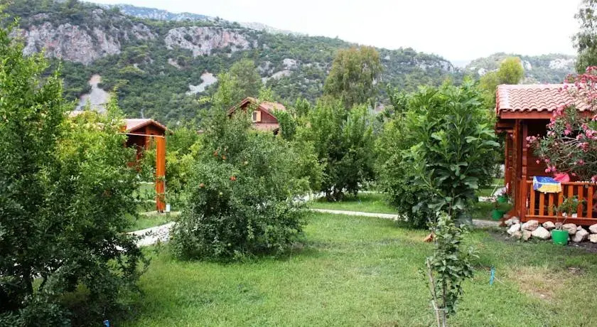Чиралы: Villaiz
