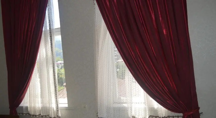 Боржоми: Kiknadze guesthouse