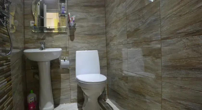 Боржоми: Kiknadze guesthouse