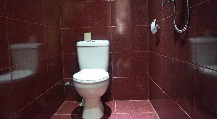 Боржоми: Kiknadze guesthouse
