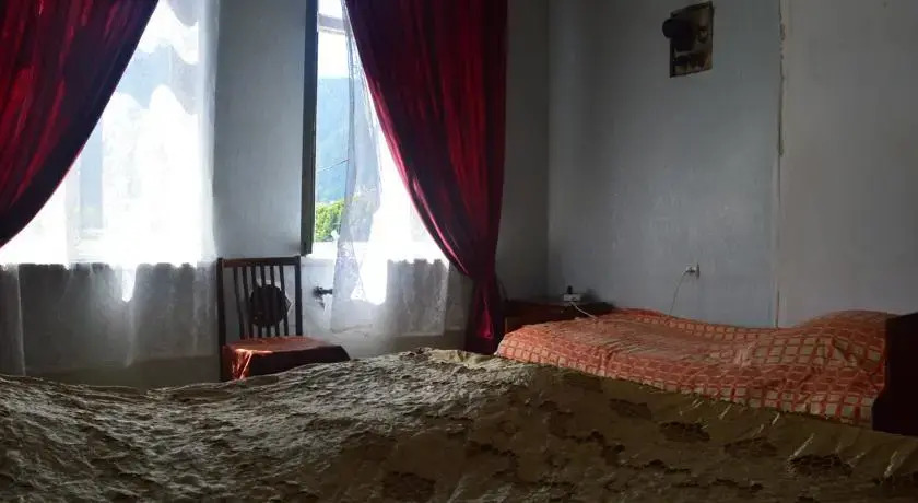 Боржоми: Kiknadze guesthouse