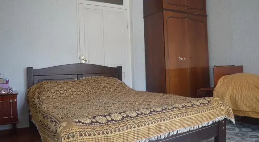 Боржоми: Kiknadze guesthouse